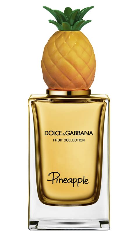 dolce gabbana parfum neu|dolce and gabbana unisex fragrance.